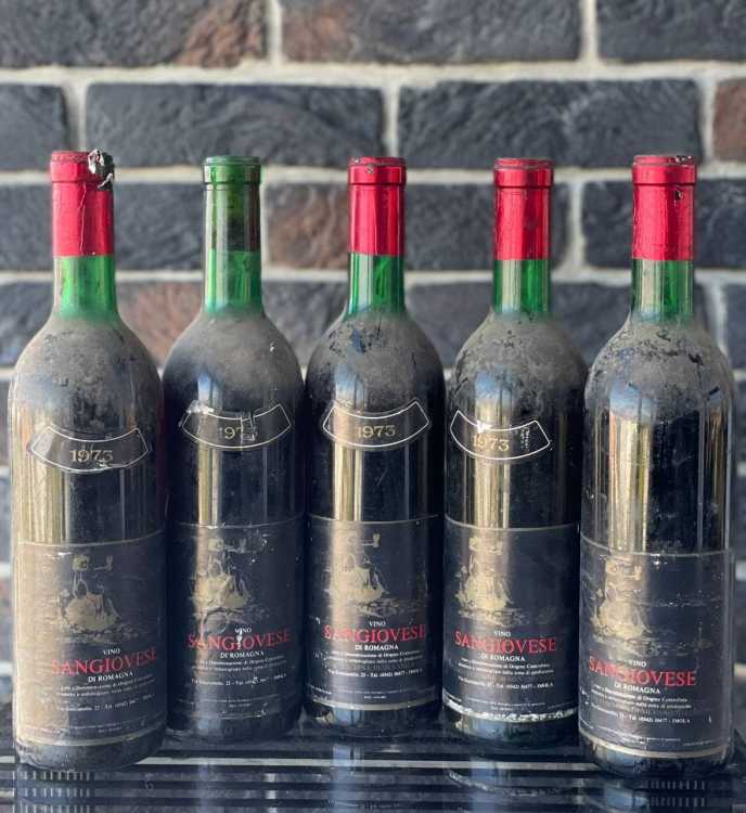 Вино Sangiovese di Romagna 1973 года урожая  №5